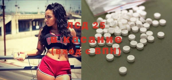 мет Лагань