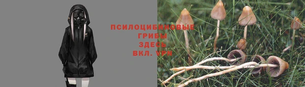 гашишное масло Лабытнанги