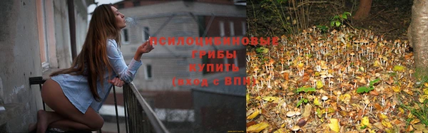 кокаин Ладушкин